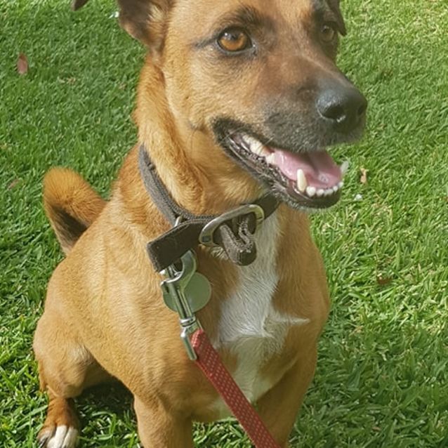 Photo of Jax