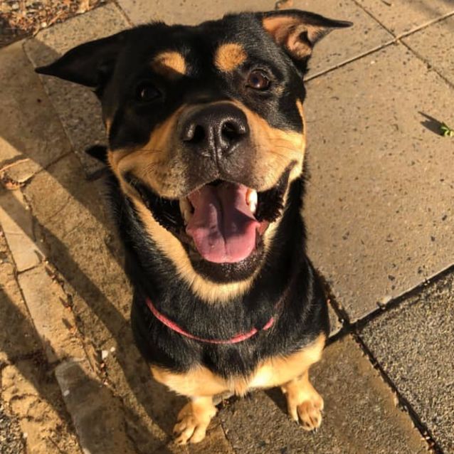 Photo of Chayse Db551