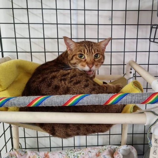 Photo of Matilda