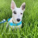 Photo of Essie