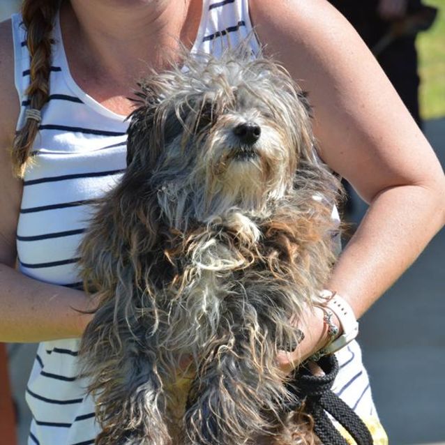 Photo of Hamish Dl2088