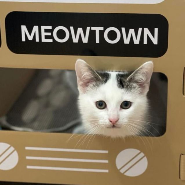 Photo of 💜 Calvin 💜