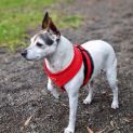 Photo of Mitzi
