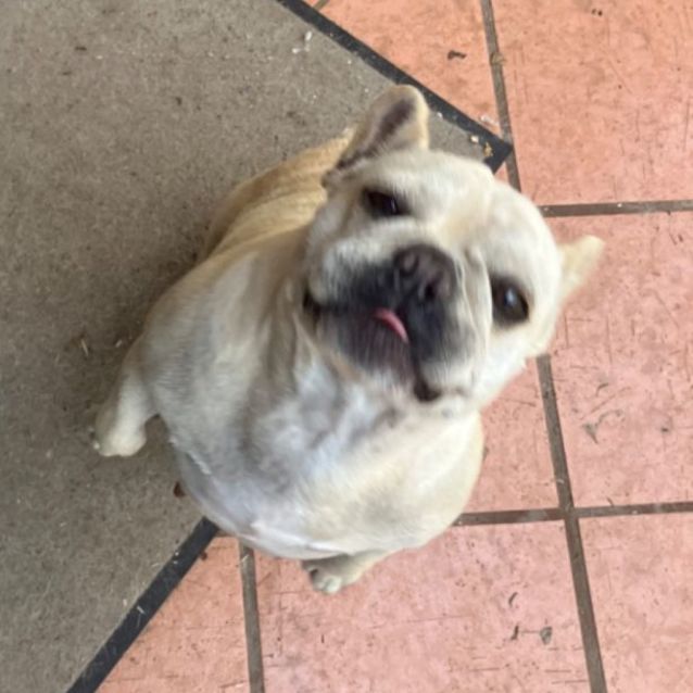 Photo of Mia 