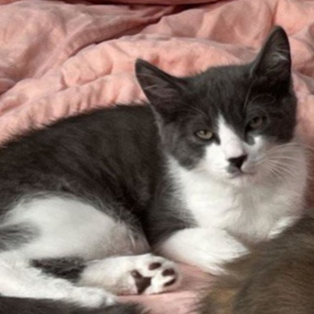 Photo of Tom   Located In Northcote