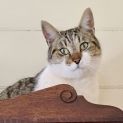 Photo of Marco