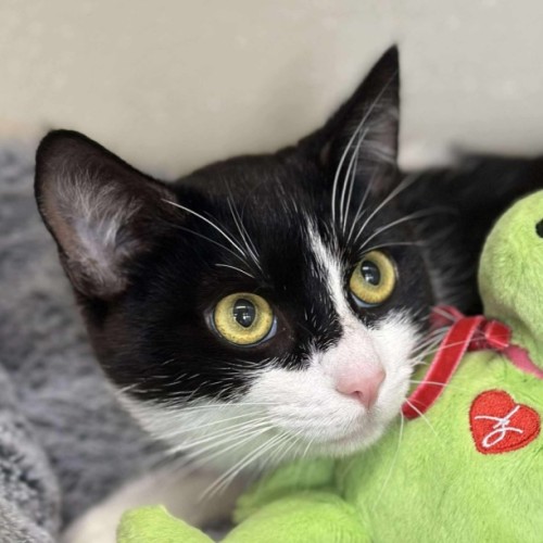 No photo for ⚓ Albie 6597 ⚓ 