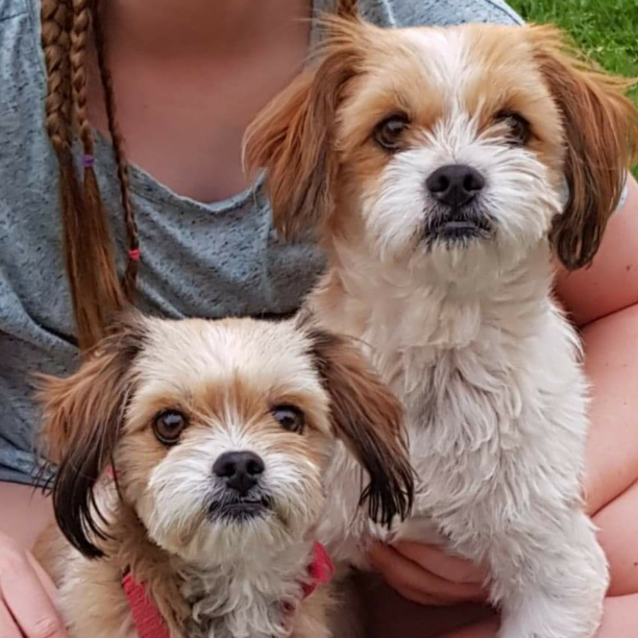 Photo of Patch And Phoebe