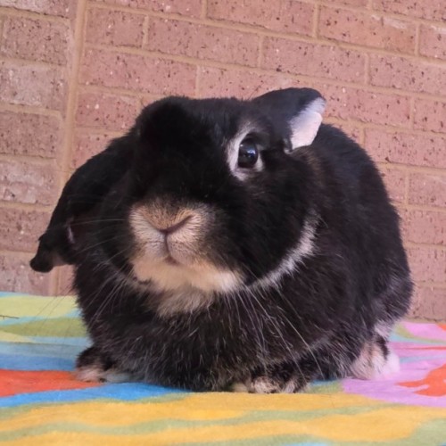 Eleanor (Ellie) *On Trial*