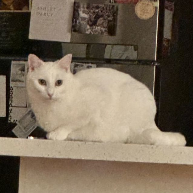 Photo of Cressy 🌸