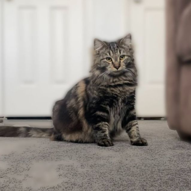 Photo of Junior & Blossom 💙🌸