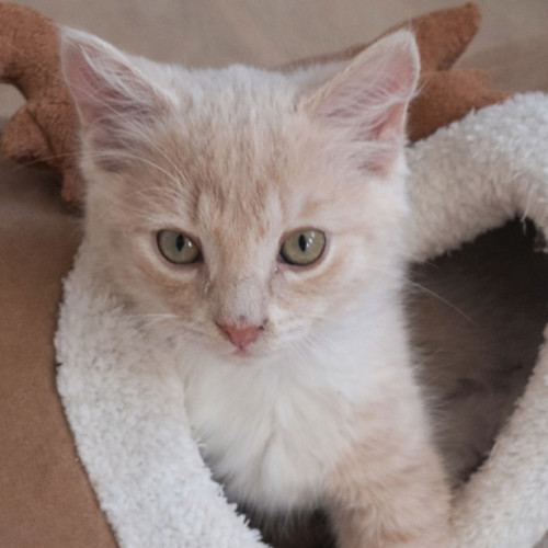 No photo for Jersey Boy