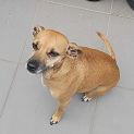 Photo of Pelly Welly