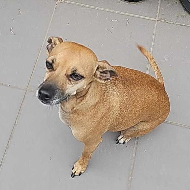 Photo of Pelly Welly