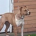 Photo of Jess