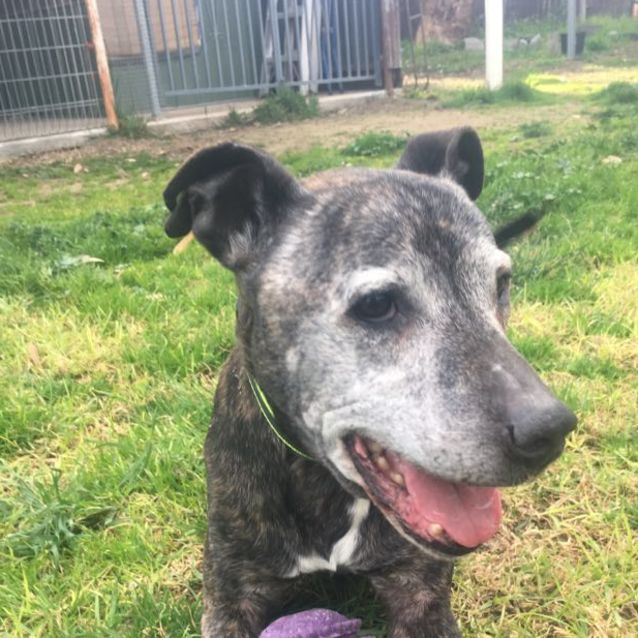 Photo of Soul. Age Don't Mean A Thing!!