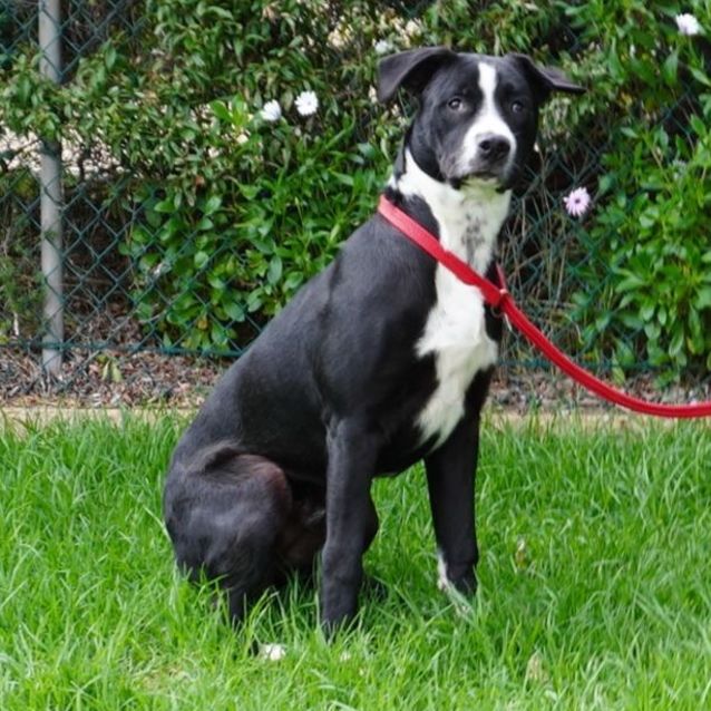 Photo of Tux