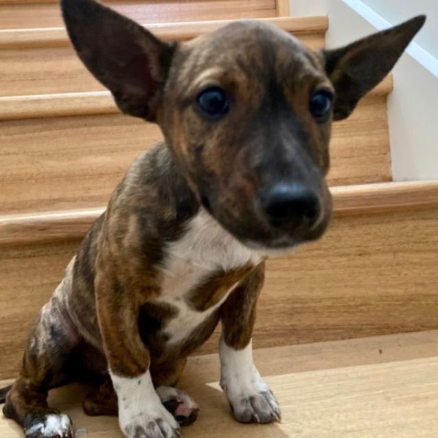 Photo of Sally