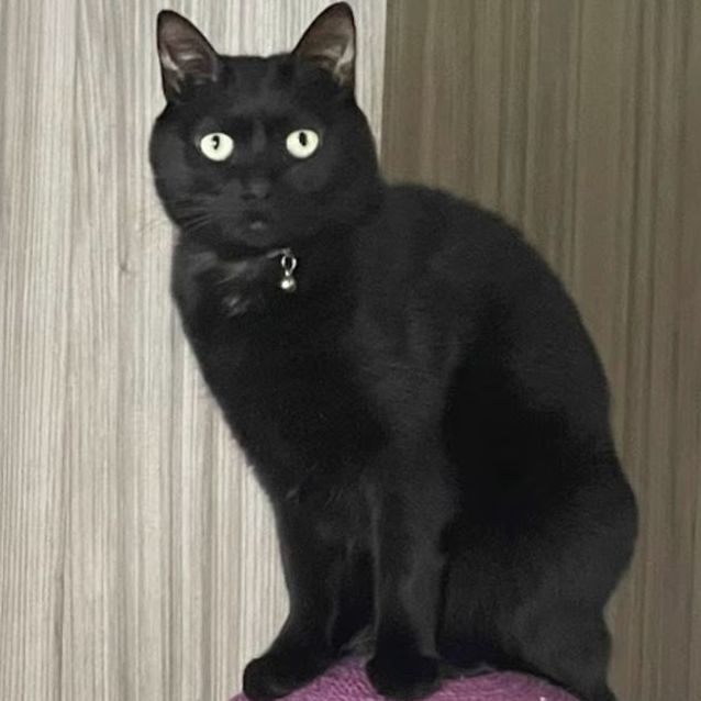 Photo of Asami And Yumi