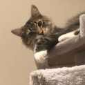 Photo of Rosie