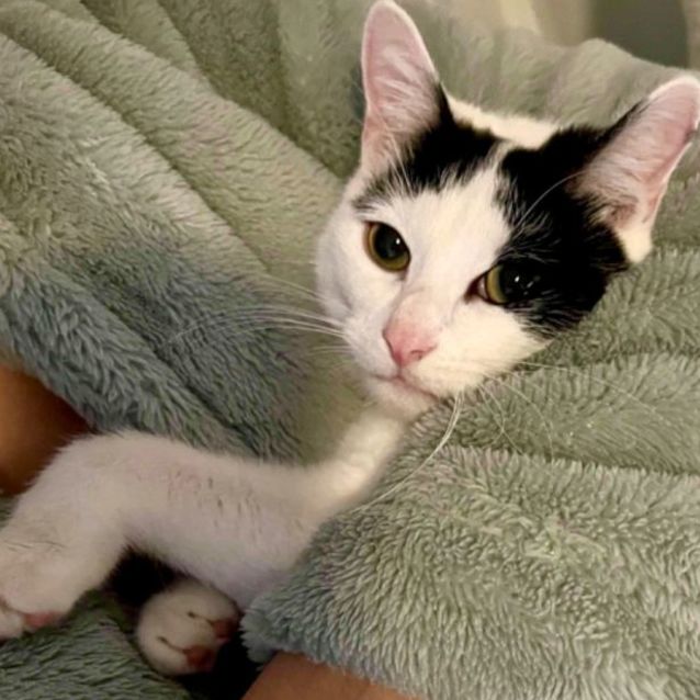 Photo of 🤍 Zedd 🤍