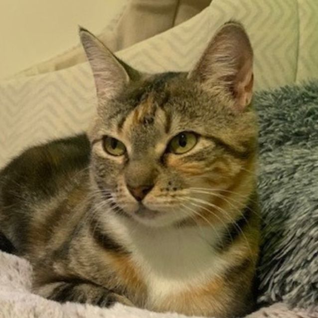 Photo of Maisey