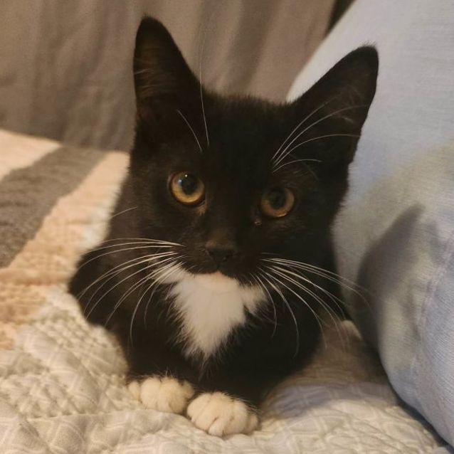 Photo of Hubert Aka Huey