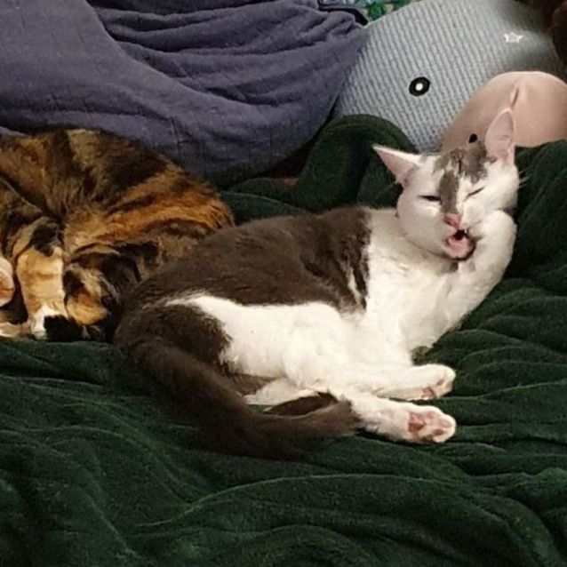 Photo of Gertrude Winifred (Gert) & The Dentist (Denny)