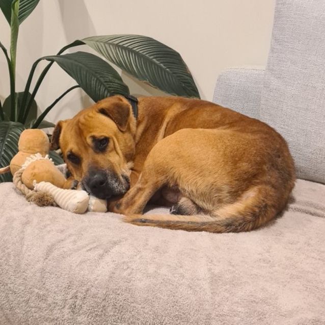 Photo of Vinnie Dl2909