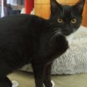 Photo of Skittles 