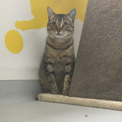 Bert F01896 😻