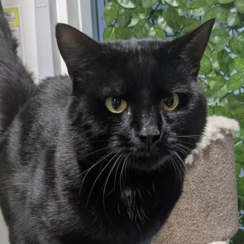 🎞 Aiden 6119 🎞