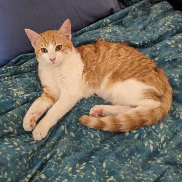 Photo of 🎵Tay Tay🎵 (Located In Wantirna South)