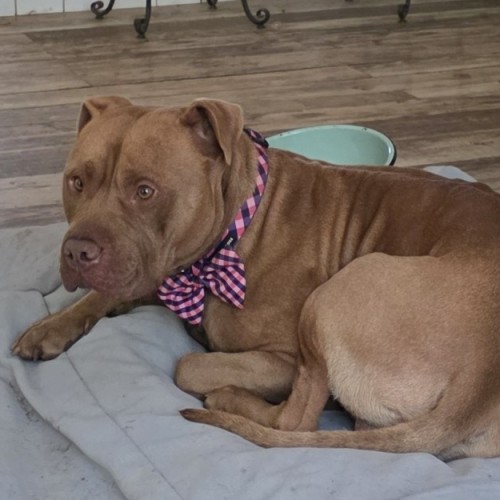 No photo for La Crosse