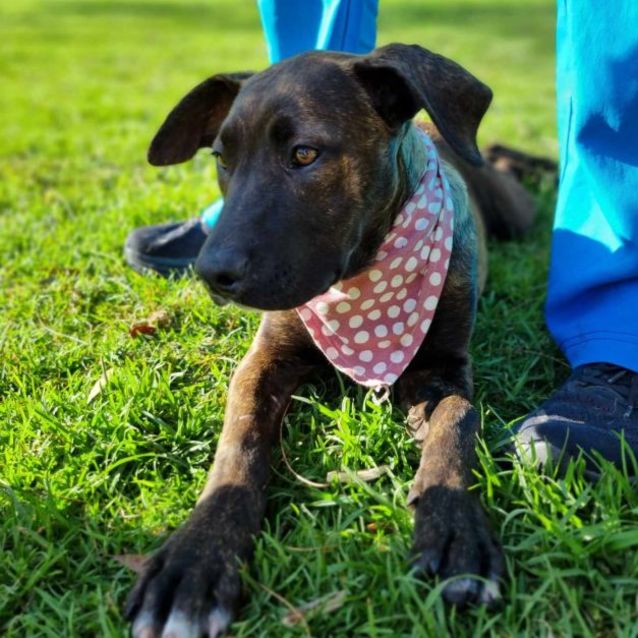 Photo of Ziggy