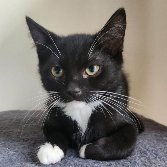 Photo of Hubert Aka Huey