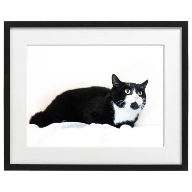Photo of Felicia 