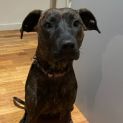 Photo of Prairie