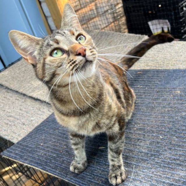 Photo of Samantha   Can Transport To You