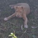 Photo of Major