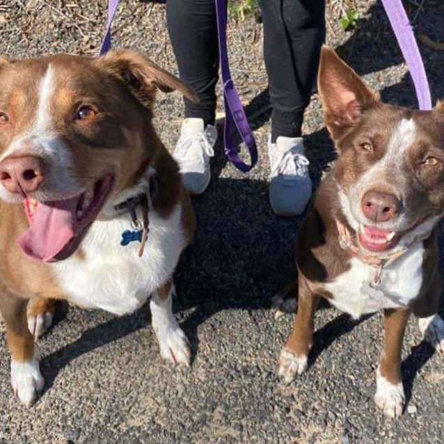 Photo of Sunny & Patty