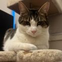 Photo of Oliver