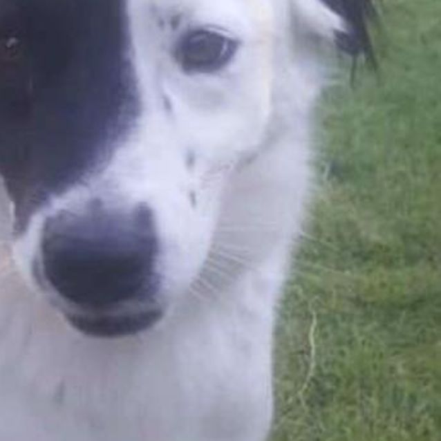 Photo of Max
