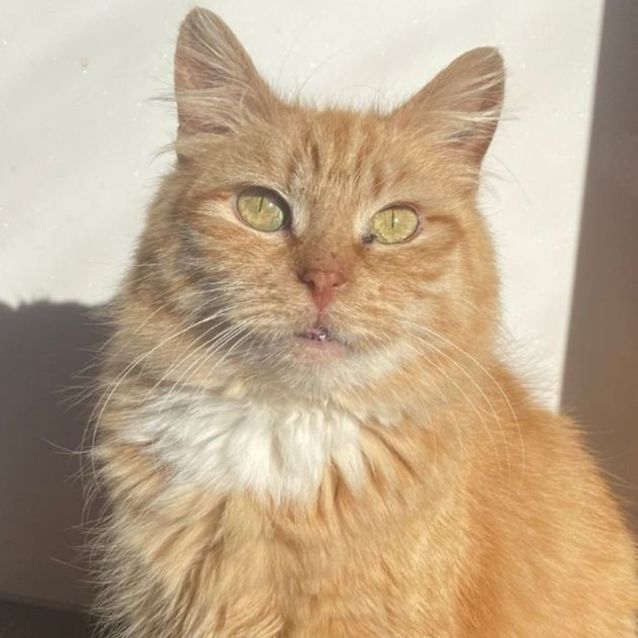 Photo of Mumma Missy