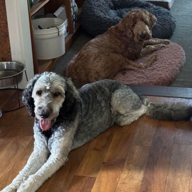 Photo of 💙 Sammy 💙