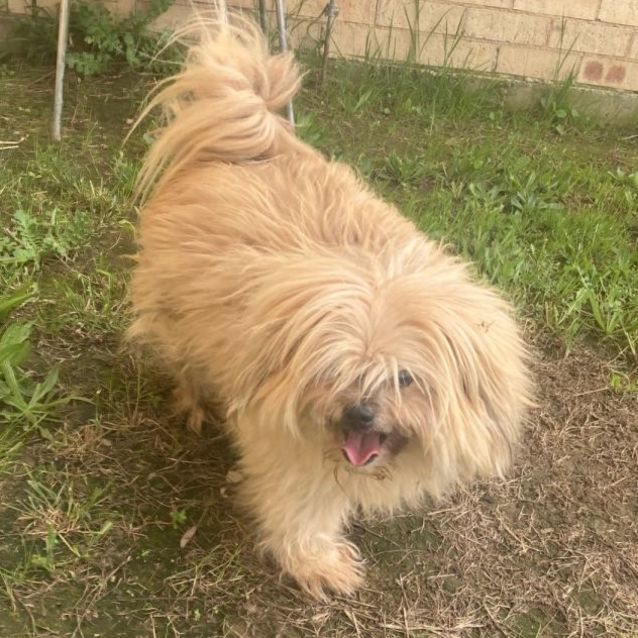 Photo of Teddy