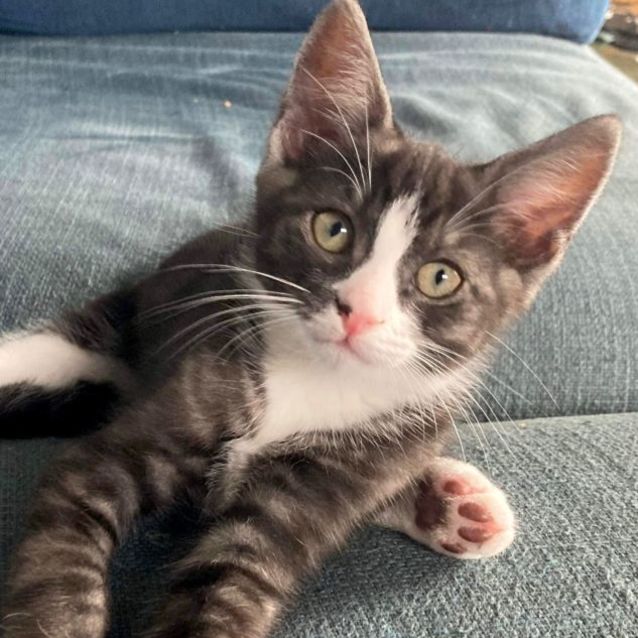 Photo of 💙 Kip 💙