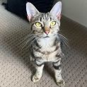 Photo of Ivy