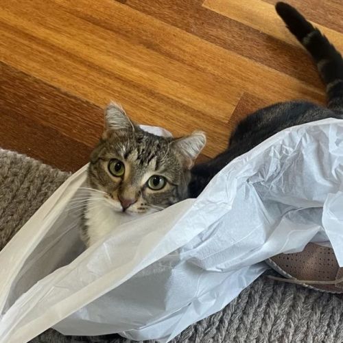 Claire (Located in Glenroy)