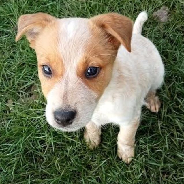 Photo of Cypher